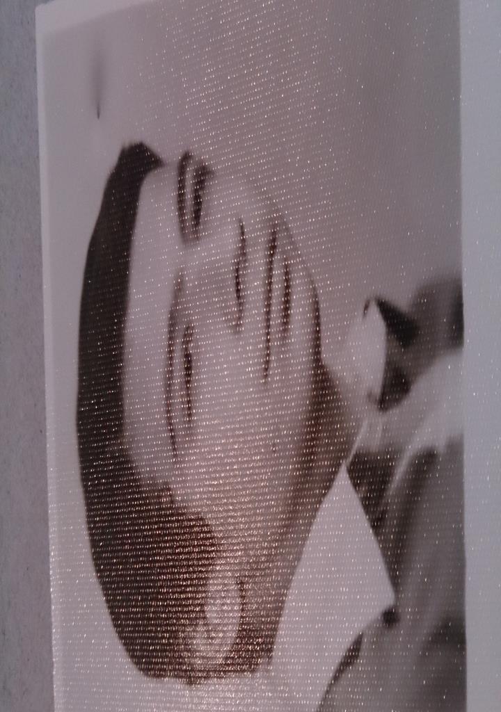 فاقد تصویر